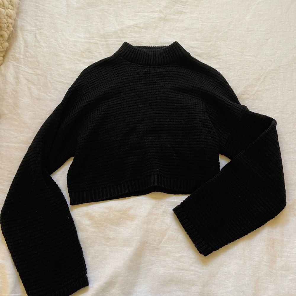 Express Crop Top Sweater